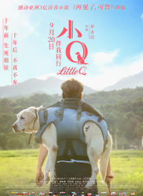 无论是明丽色彩还是质感黑白都完美驾驭。